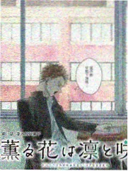 周五风向综艺轻松节目卡片封面